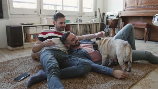 30 Small Dog Breeds That Make Great Pets