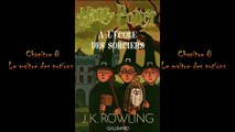 asmr Harry Potter à lécole des sorcier - chapitre 8