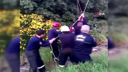 10 metrelik foseptik çukuruna düşen at için seferberlik