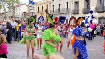 MARSEILLAN - Le défilé des couleurs a tenu toutes ses promesses