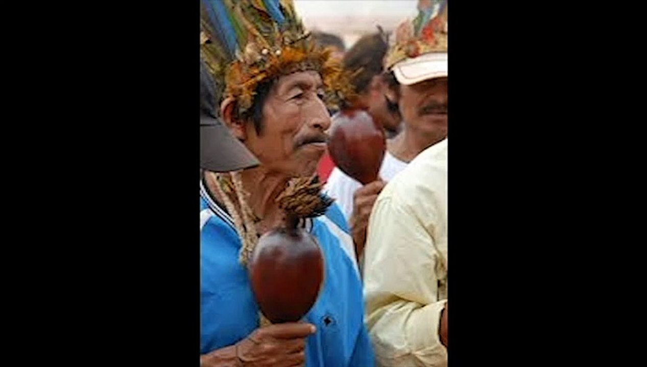 Aromas do Brasil 11