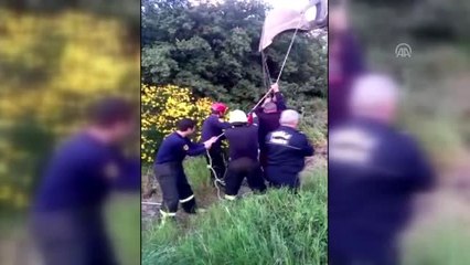 Foseptik Kuyusuna Düşen At Kurtarıldı