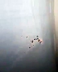 Mais quel monstre se cache derrière ce rideau... Miaou