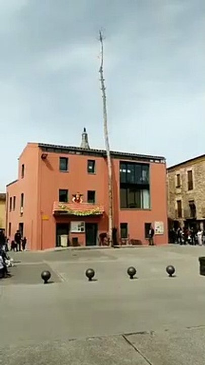 Chute d'un arbre vs Spectateurs chanceux