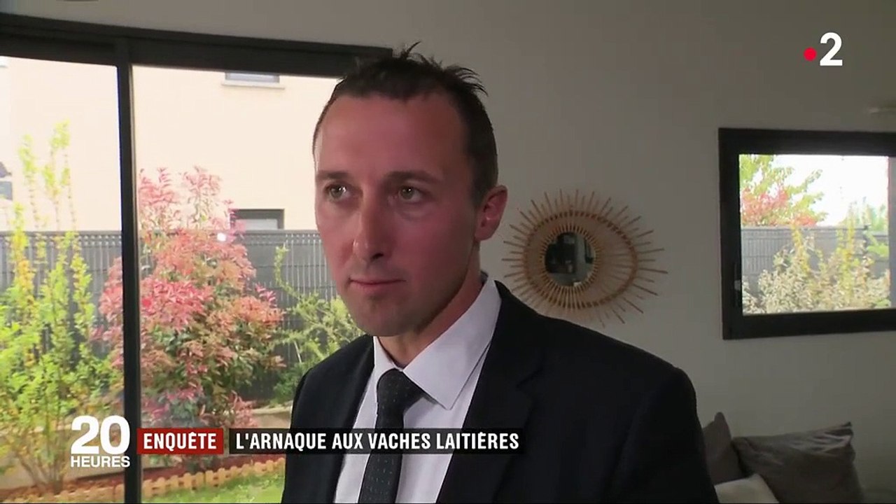 Une arnaque aux vaches laitières promet un rendement cinq fois supérieur au livret A