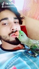 parrot lovers