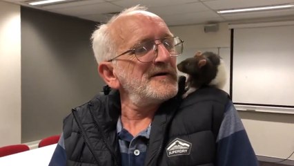 Homeless Man Reunited With Pet Rat