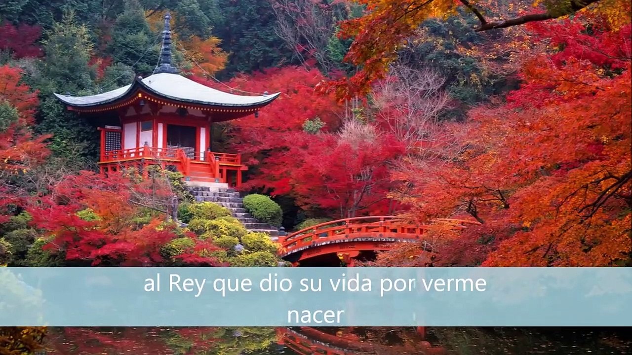 Consentida