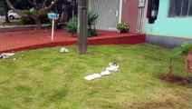 Lixo jogado em frente a residência, gera reclamação de morador