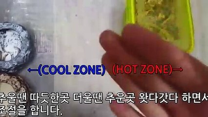 홍천출장안마 -후불100%∭Ø7Øp7333w9649｛카톡OP1541｝홍천전지역출장마사지샵'예약'홍천출장nØ안마dv홍천출장안마cØs여Ø홍천마사지황형 홍천만남