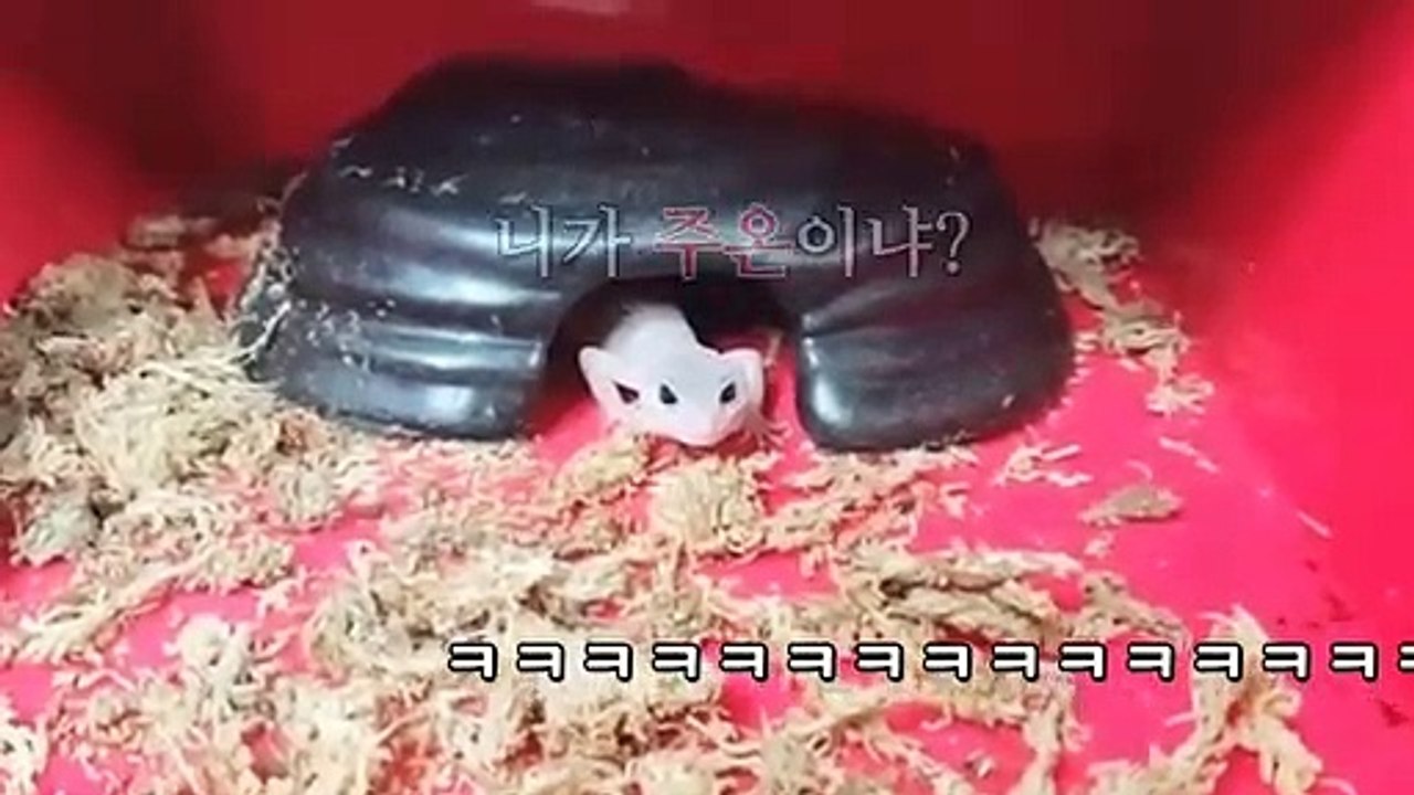 화성출장안마 -후불100%∭Ø7Øn8782v38ØØ｛카톡FK88｝화성전지역출장마사지샵'예약'화성출장nq안마Øv화성출장안마cos여3화성마사지황형 화성오피걸