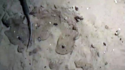 고령출장안마 -후불100%∭Ø1Øa2671k8135｛카톡KC456}고령전지역출장마사지샵'예약'고령출장nØ안마dv고령출장안마cØs여Ø고령마사지황형 고령콜걸