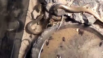 보령출장안마 -후불100%∭Ø1Øq2671c8135｛카톡CT369｝보령전지역출장마사지샵'예약'보령출장nq안마Øv보령출장안마cos여3보령마사지황형 보령오피걸