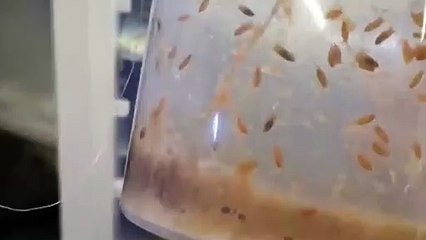 충남출장안마 -후불100%∭Ø7Øe7575gØØ54｛카톡DK654}충남전지역출장마사지샵'예약'충남출장nq안마Øv충남출장안마cØs여Ø충남마사지황형 충남20대