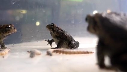 화순출장안마 -후불100%∭Ø1Øy2997g5327｛카톡PP888｝화순전지역출장마사지샵'예약'화순출장nØ안마dv화순출장안마cØs여Ø화순마사지황형 화순만남