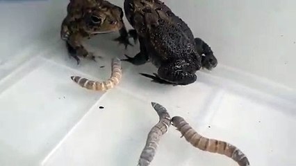 회현동출장안마 -후불100%∭Ø7Øn8782v38ØØ｛카톡FFFKKK｝회현동전지역출장마사지샵'예약'회현동출장nq안마Øv회현동출장안마cos여3회현동마사지황형 회현동오피걸