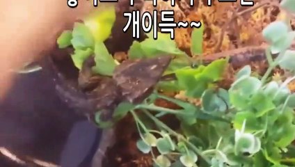 금산출장안마 -후불100%∭Ø7Øp7575aØØ54｛카톡RD654}금산전지역출장마사지샵'예약'금산출장nØ안마dv금산출장안마cØs여Ø금산마사지황형 금산만남