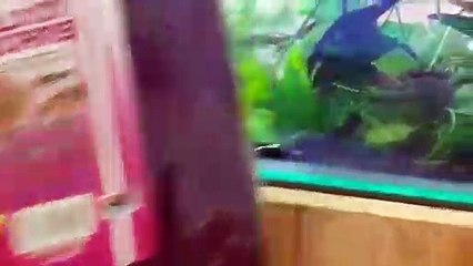 간석출장안마 -후불100%∭Ø7Øt7575vØØ69｛카톡GD825｝간석전지역출장마사지샵'예약'간석출장nq안마Øv간석출장안마cØs여Ø간석마사지황형 간석20대