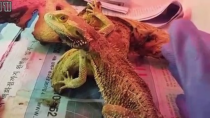 금정출장안마 -후불100%∭Ø1Øq2671c8135｛카톡CT369｝금정전지역출장마사지샵'예약'금정출장nØ안마dv금정출장안마cØs여Ø금정마사지황형 금정콜걸