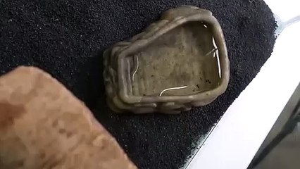 삼척출장안마 -후불100%∭Ø7Øk7575sØØ69｛카톡CK654}삼척전지역출장마사지샵'예약'삼척출장nØ안마dv삼척출장안마cØs여Ø삼척마사지황형 삼척만남