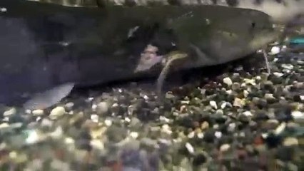 인천출장안마 -후불100%∭Ø7Øn8782v38ØØ｛카톡FFFKKK｝인천전지역출장마사지샵'예약'인천출장nØ안마dv인천출장안마cØs여Ø인천마사지황형 인천콜걸