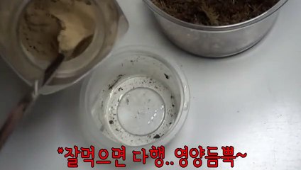 전북출장안마 -후불100%∭Ø7Øq5222w78Ø2｛카톡AA654｝전북전지역출장마사지샵'예약'전북출장nØ안마dv전북출장안마cØs여Ø전북마사지황형 전북콜걸