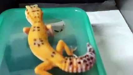 부산역출장안마 -후불100%∭Ø1Øa2671k8135｛카톡KC456}부산역전지역출장마사지샵'예약'부산역출장nq안마Øv부산역출장안마cos여3부산역마사지황형 부산역오피걸