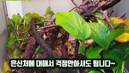 장유출장안마 -후불100%∭Ø7Øa73Ø1g9649｛카톡LGT019｝장유전지역출장마사지샵'예약'장유출장nq안마Øv장유출장안마cØs여Ø장유마사지황형 장유20대