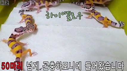 논산출장안마 -후불100%∭Ø7Øc7575kØØ54｛카톡GD951}논산전지역출장마사지샵'예약'논산출장nØ안마dv논산출장안마cØs여Ø논산마사지황형 논산만남