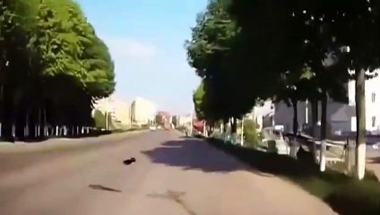 Car crashes  -87