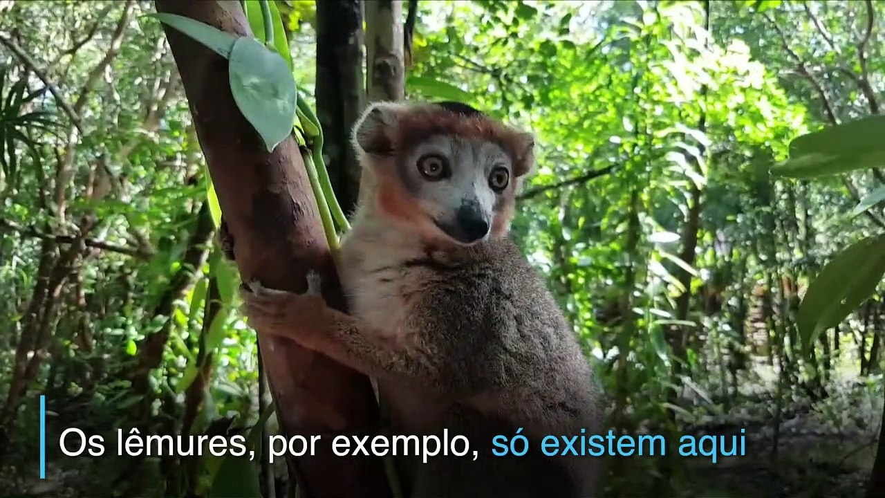 Perigo no meio ambiente