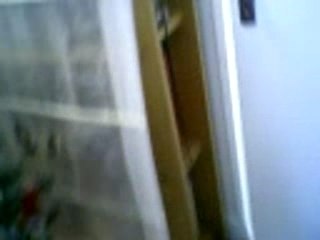 Gogol le chat curieux