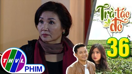 THVL | Trà táo đỏ - Tập 36[2]: Bà Hiền khẳng định với Chiêu Dương Hiếu và Trúc Trà sẽ kết hôn