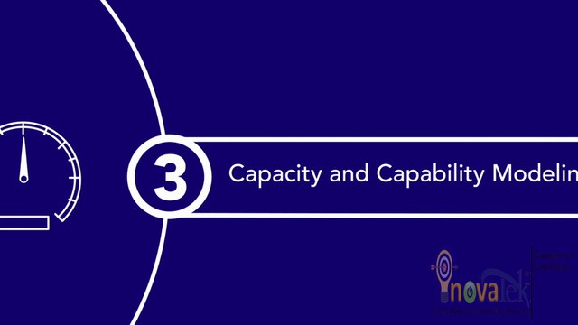 Portfolio Management - Capacity and capability planning