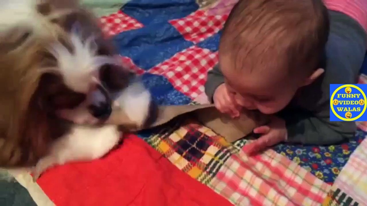 FUNNY VIDEO ep 177