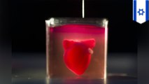 以色列發表全球首顆3D列印人工心臟