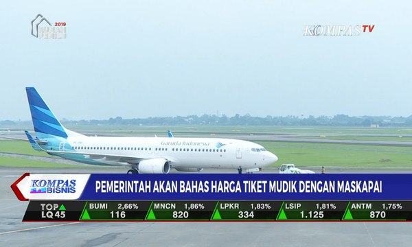 Pemerintah Akan Bahas Harga Tiket Mudik dengan Maskapai Penerbangan