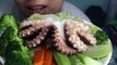ASMR GIANT OCTOPUS ปลาหมึกยักษ์ (CHEWY EATING SOUNDS) No Talking | STEVEN PHAN ASMR KING