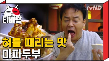 [티비냥] 현지에서 즐기는 3000원의 행복 마파두부, 밥 무한리필까지! | 스트리트푸드파이터 180423 #2