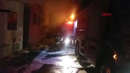 Aydın'da Yangın 8 Koyun Telef Oldu