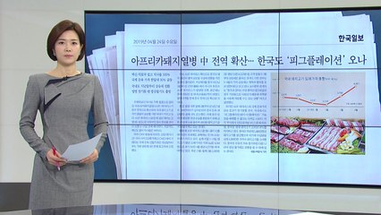 [앵커 pick] 아프리카돼지열병 중국 확산...金겹살 되나? / YTN
