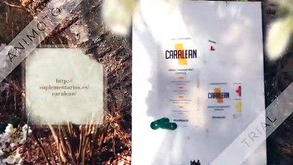 Download Video: Caralean: mejora tu sistema inmunológico y tu sistema digestivo