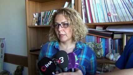 Silahla vurulan hamile tilki kurtarılamadı