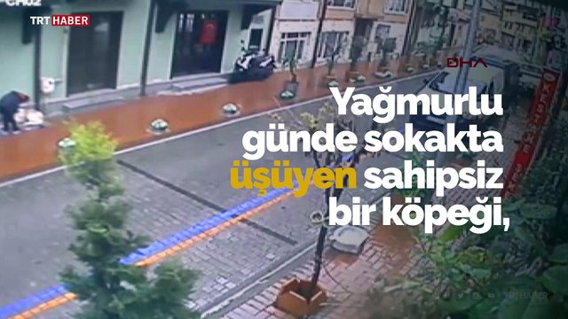 Yağmurda ıslanan köpeğe montunu verdi