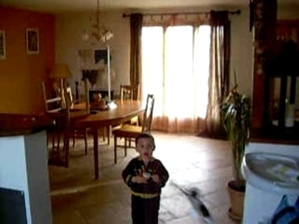 Picooz 2