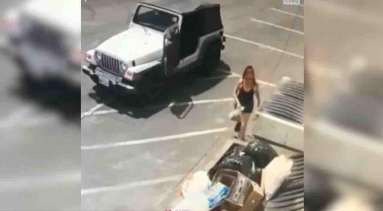 Une femme jette des chiots à la poubelle - ZAPPING ACTU DU 23/04/2019