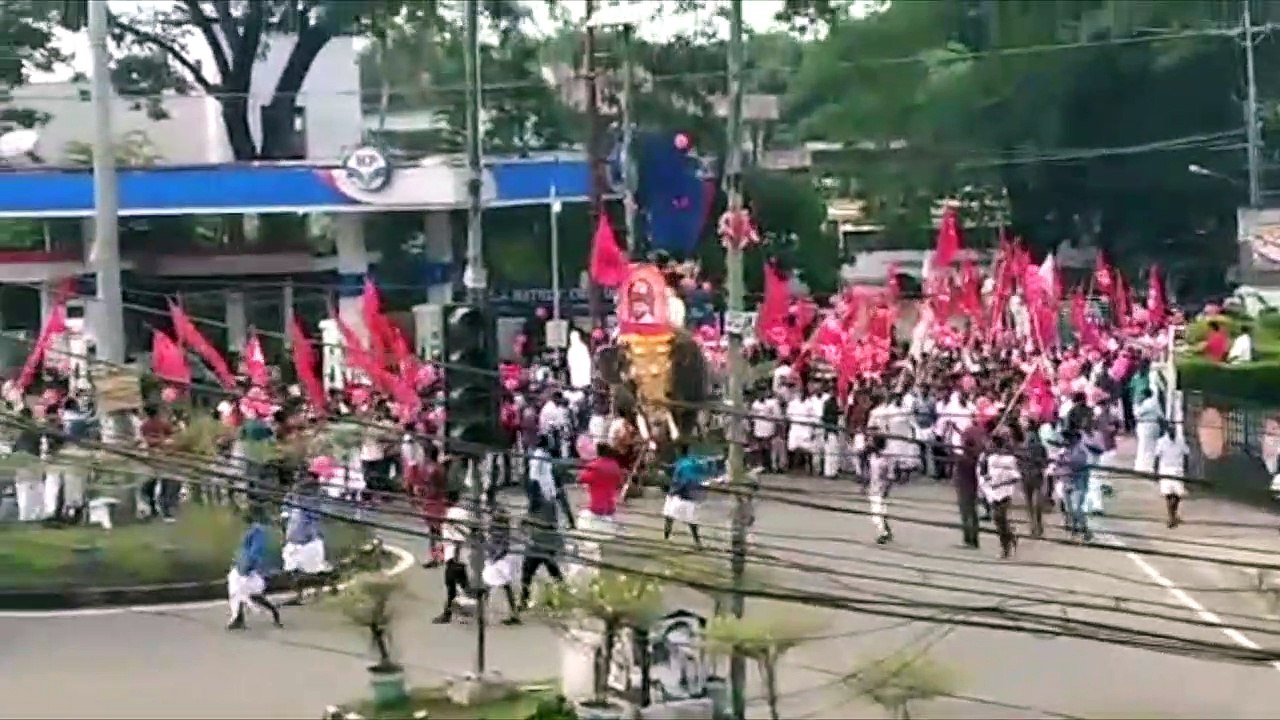 Rogue elephant causes panic during political party procession