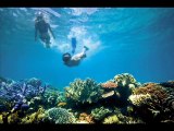 Great Barrier Reef - Largest Coral Reef