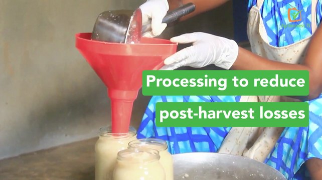 Benin: Processing to reduce post-harvest losses