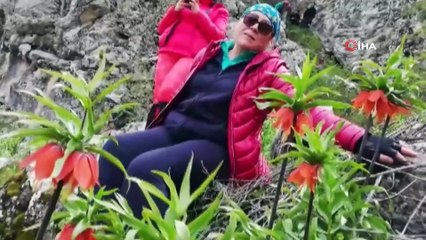 Ters laleler çiçek açtı